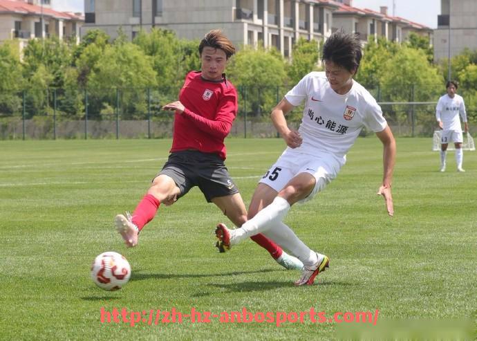 安博体育官网-法甲最佳进球回顾合集:赛季十大精彩入球赏析与点评