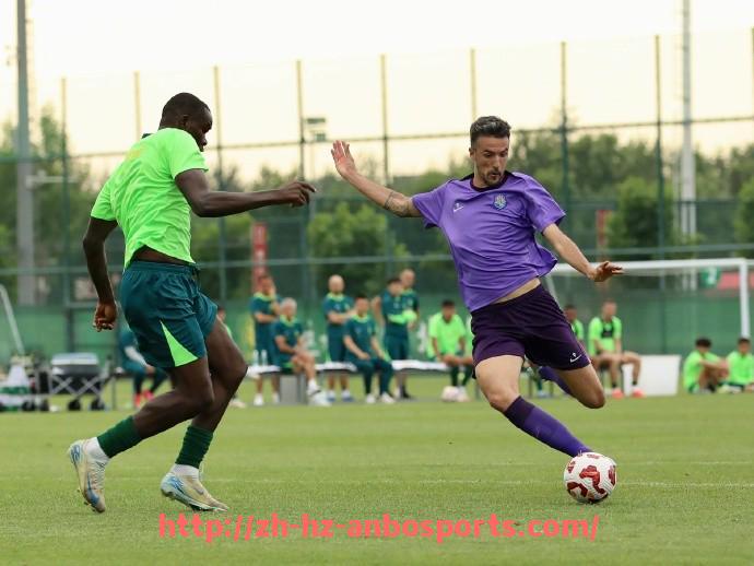 安博体育官网-德甲历年来获得冠军的球队数量统计及比较